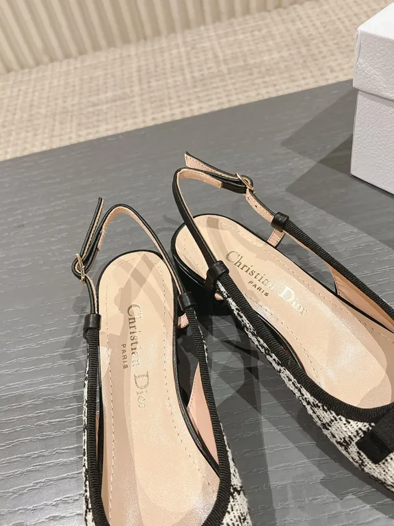 Dior Shoe 